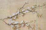 cherry branch